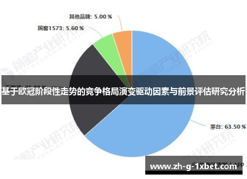 基于欧冠阶段性走势的竞争格局演变驱动因素与前景评估研究分析